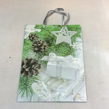 Gift bag 26x32x10 cm