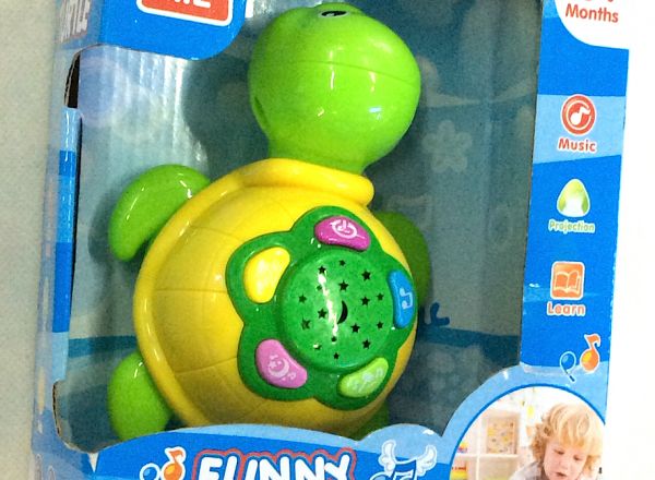 Baby funny turtle